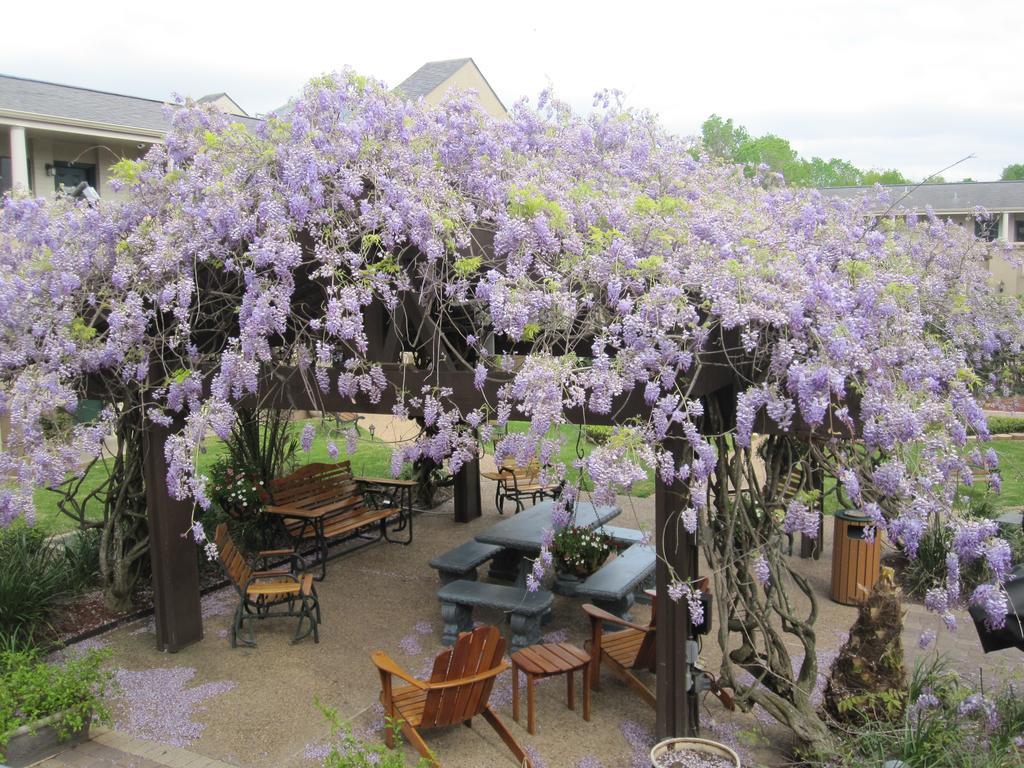 Vineyard Court Designer Suites Hotel College Station Buitenkant foto