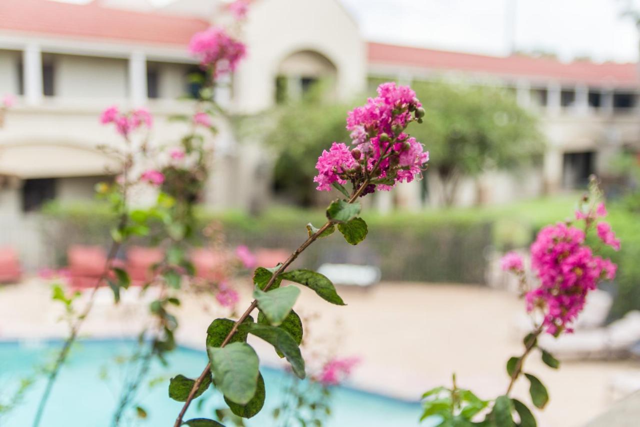 Vineyard Court Designer Suites Hotel College Station Buitenkant foto
